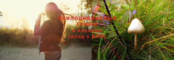 марихуана Беломорск